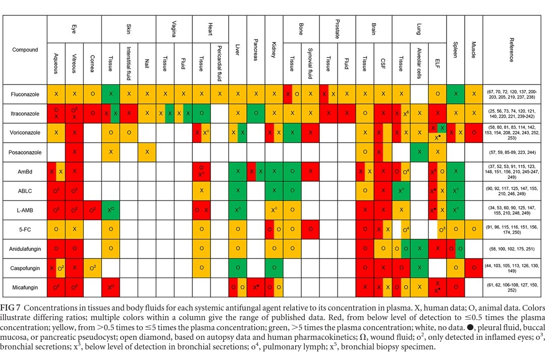 #ECCMID2023
Tissue penetration of various antifungal drugs 
journals.asm.org/doi/10.1128/CM…