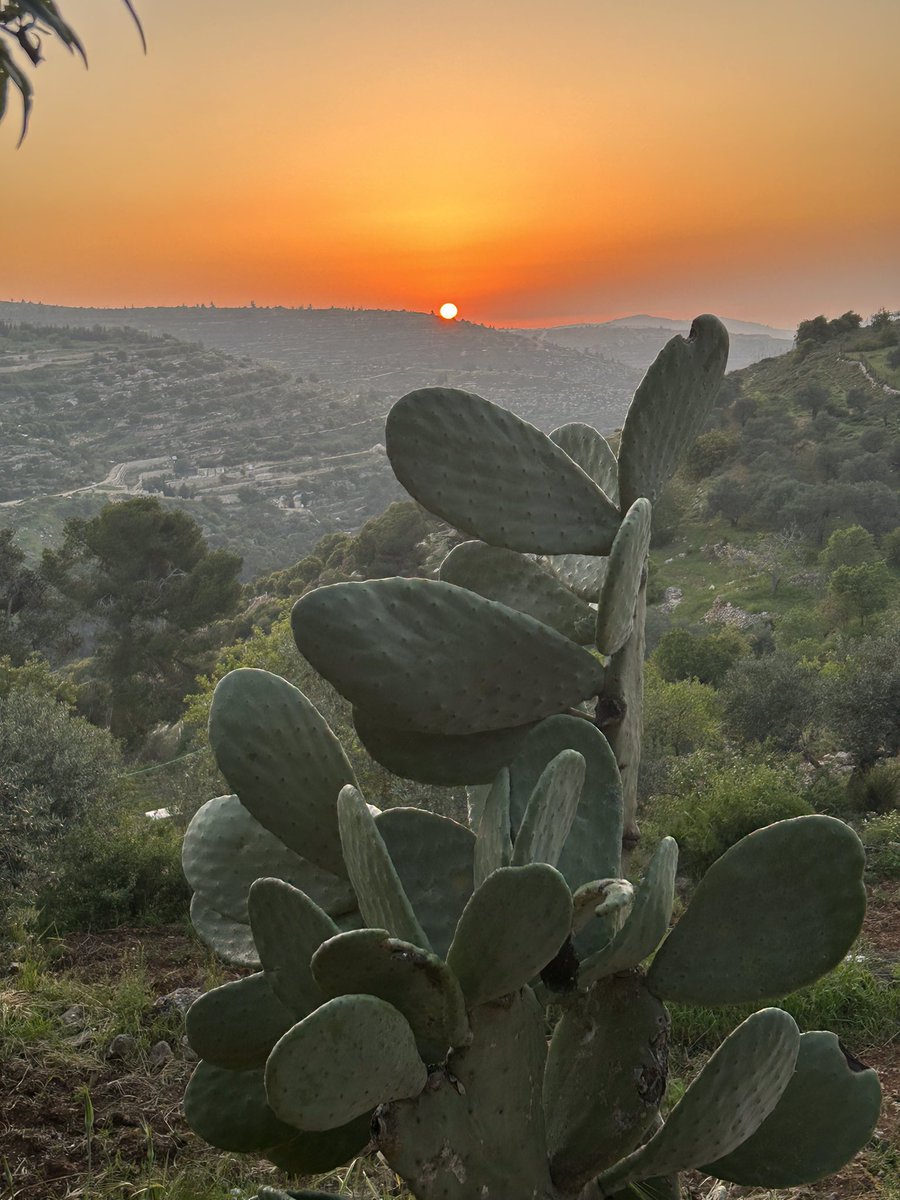 MartinDaltry's tweet photo. A beautiful walk down Al Makhrour Valley and a tasty Turkish supper with the #wondercabinet @radioalhara #BeitJala #Palestine https://t.co/wJm3Tl4g5o