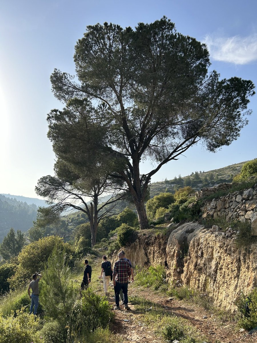 MartinDaltry's tweet photo. A beautiful walk down Al Makhrour Valley and a tasty Turkish supper with the #wondercabinet @radioalhara #BeitJala #Palestine https://t.co/wJm3Tl4g5o