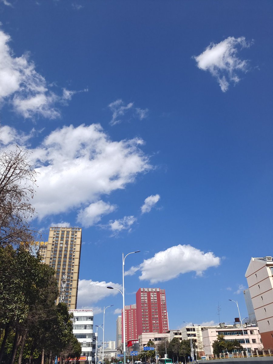 IInDifferenceZ's tweet image. blue😁