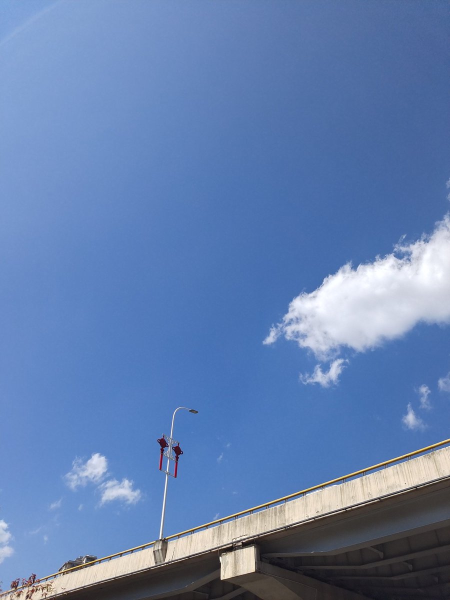 IInDifferenceZ's tweet image. blue😁