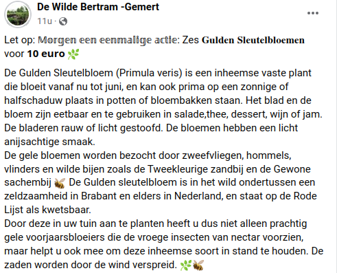 DeBiezen_76's tweet photo. Vandaag een #Gulden_sleutelbloem actie bij de #WildeBertram ter behoud en verspreiding van deze prachtige plant #primulaveris #plantenvanhier 🌿 https://t.co/ScsUuOGZhW
