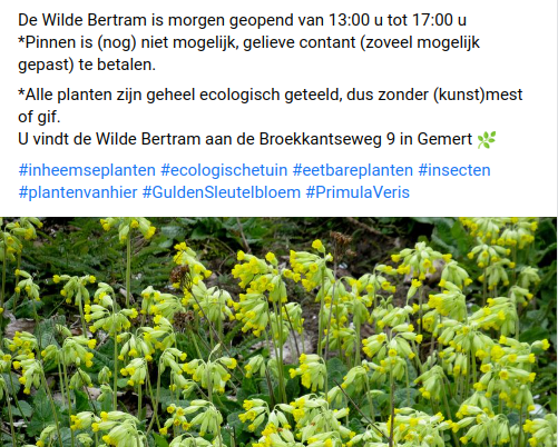 DeBiezen_76's tweet photo. Vandaag een #Gulden_sleutelbloem actie bij de #WildeBertram ter behoud en verspreiding van deze prachtige plant #primulaveris #plantenvanhier 🌿 https://t.co/ScsUuOGZhW