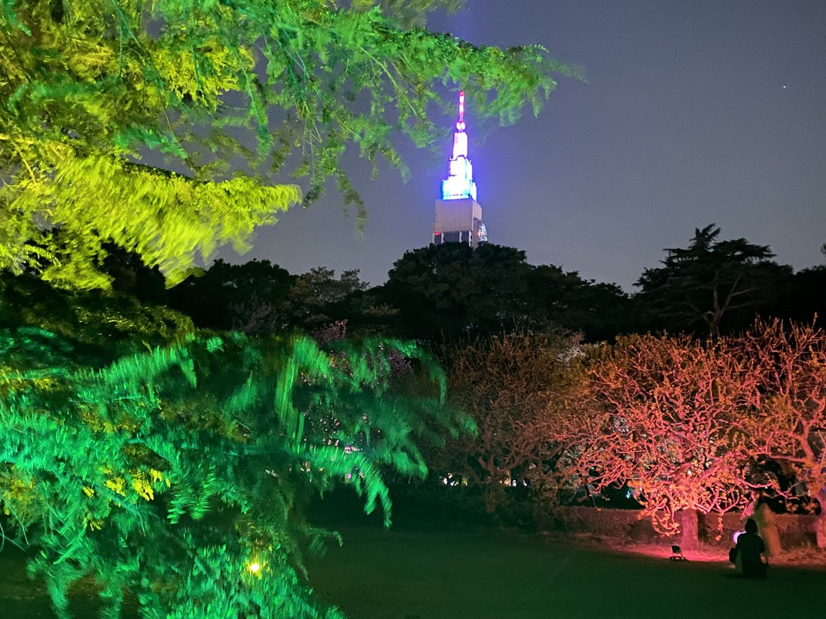 nobukokozu's tweet photo. 新宿御苑🌸🌸🌸
夜桜ライトアップ❣️❣️

#新宿御苑
#夜桜 
#夜桜ライトアップ 
＠SG_info_kyokai https://t.co/w5iOk4Ahw1