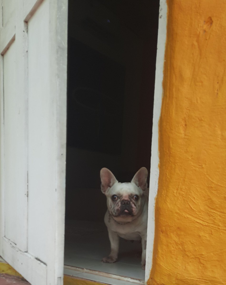 Someone watching/judging me every day, so I try to be a good person. 😐🐽😬