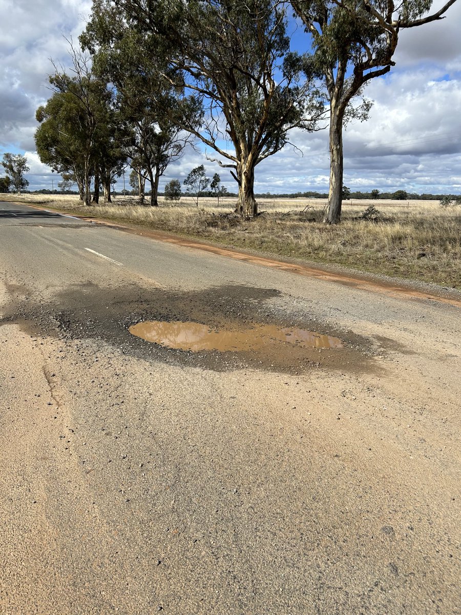 JACKIE NOONAN tweet media