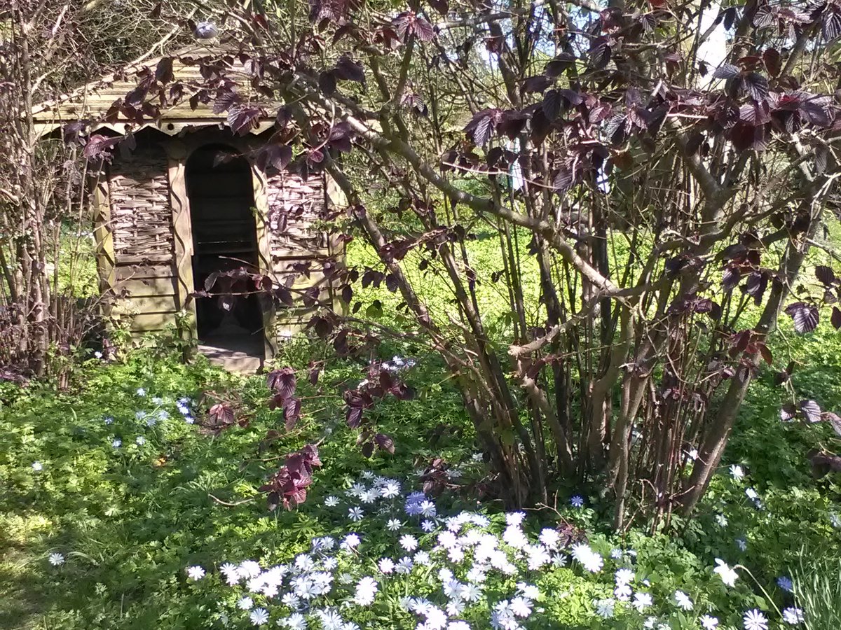 RarePlantFair's tweet photo. TODAY! Our Fair at The Old Rectory Quenington opens at 11am today, in support of @cobaltfr @cobaltimaging. Great nurseries from across the country, in an idyllic setting in this lovely Cotswold village. Hope to see you there!

Full details at our website https://t.co/bEGxxsJCYp https://t.co/YjxneLW8YM