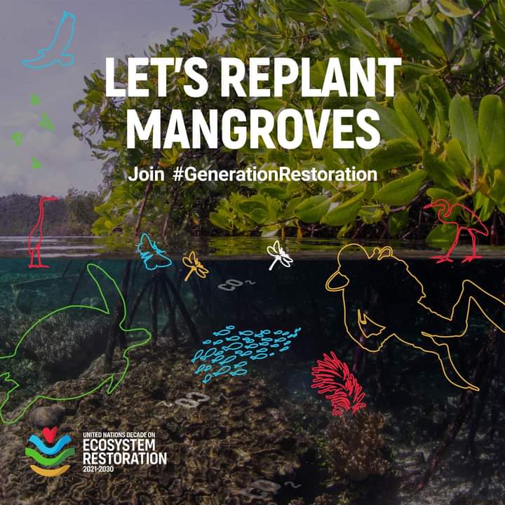 Let's Replant Mangroves!

#generationrestoration 
@EragbieFavour <a href="/NaturePosUni/">Nature Positive Universities</a> <a href="/UNEP/">UN Environment Programme</a> <a href="/UNEP_Francais/">Programme des Nations Unies pour l’environnement</a>