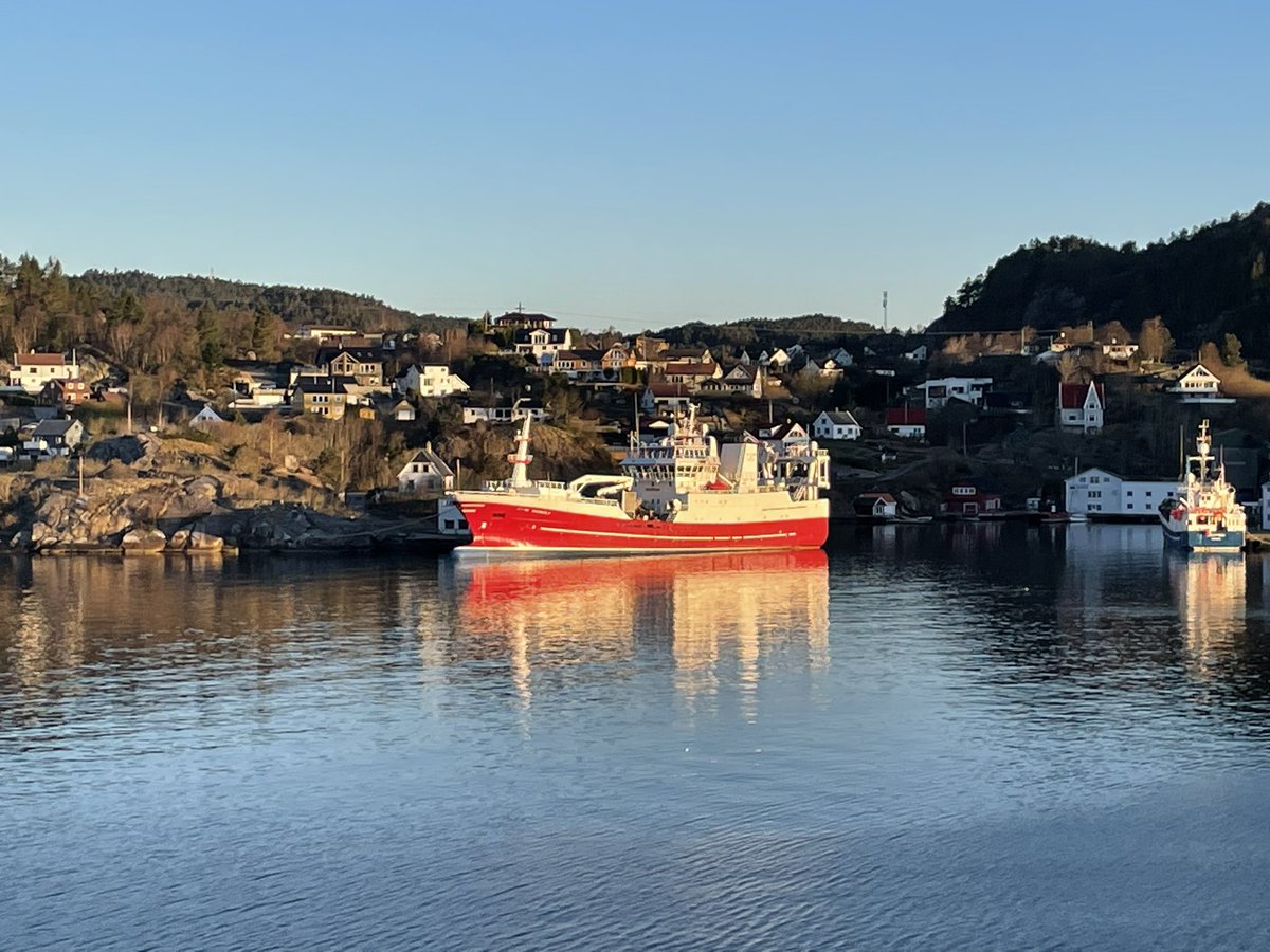 Good morning from Bergen, Norway! 🇳🇴