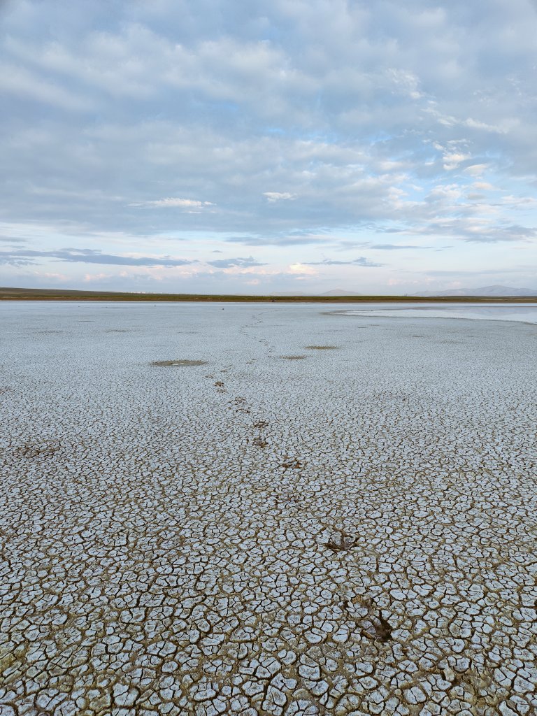 alpertuydes's tweet photo. Günaydın Konya🧡 Bugün umduğumu bulursam Türkiye'de çektiğim kuş türü sayısını 400'e tamamlamış olacağım. Nolur beni buruk gönderme 🙂 #DoğayaKanatActık https://t.co/M0lWFjJ8Ua