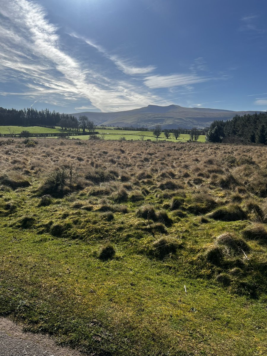 EmilyAsher's tweet photo. Morning #BreconBeacons #Wales #PenyFan https://t.co/QkQ77CBjx5