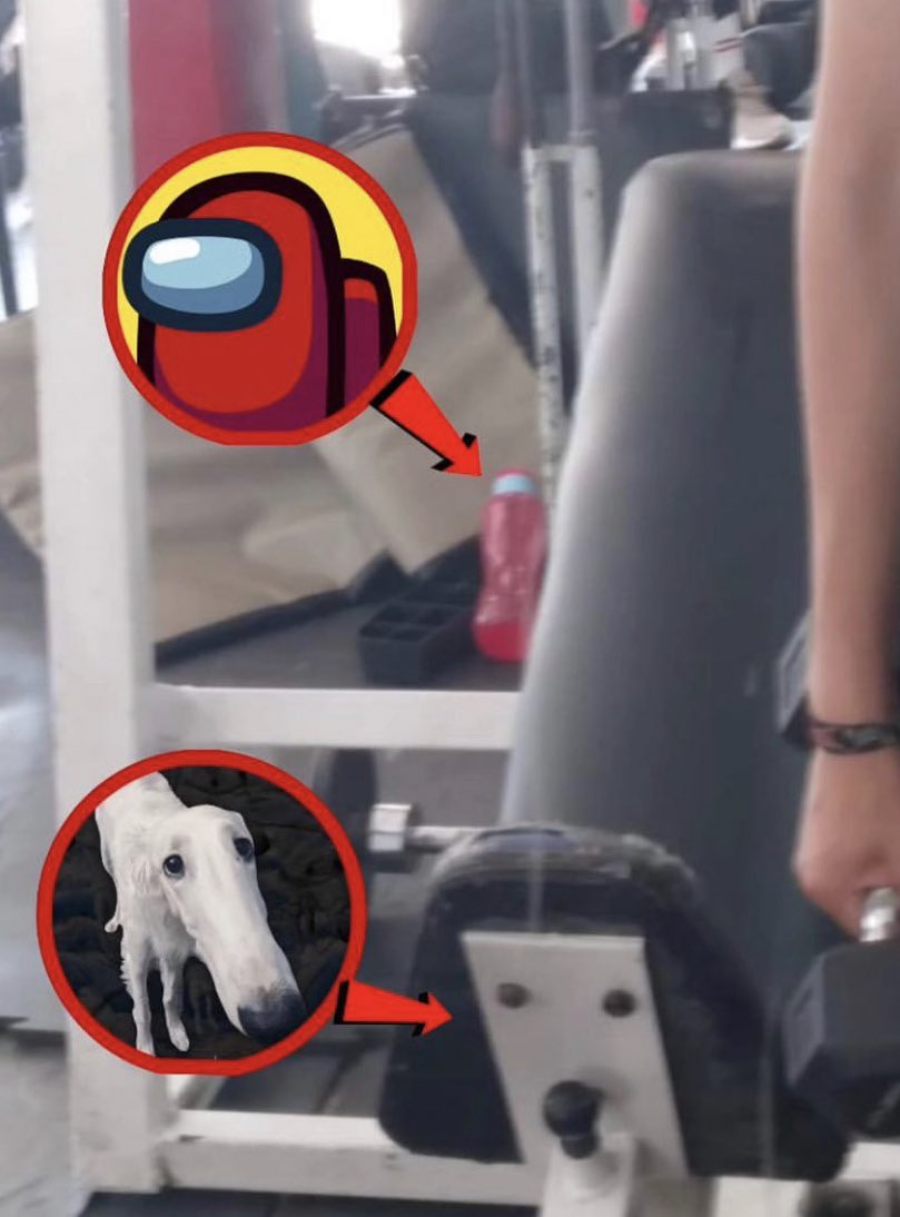 non aesthetic things (@picturesfoider) on Twitter photo 