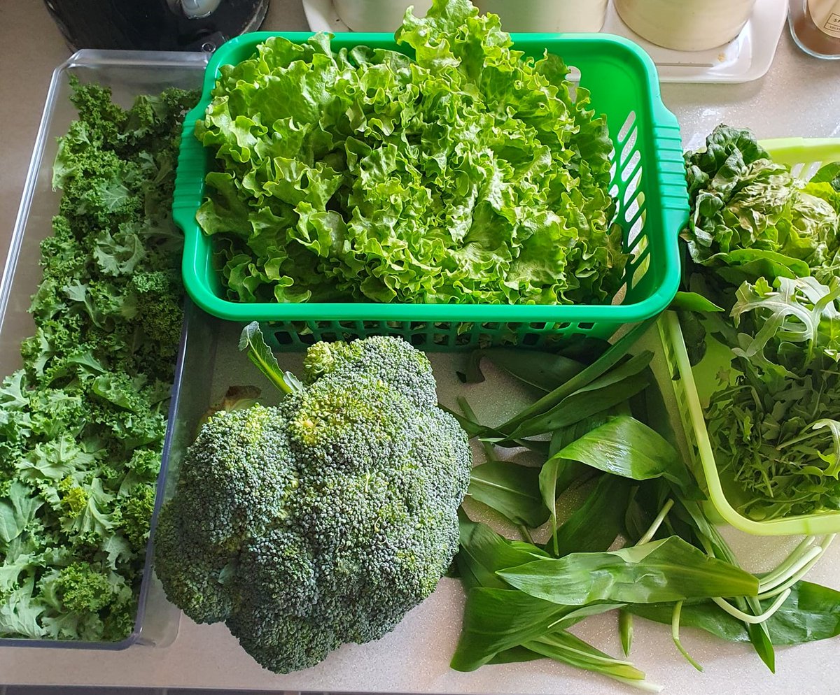 EAT YOUR BODY WELL WITH OUR #ORGANIC FRUIT&amp;VEG!🍏 - mailchi.mp/466827515831/o…