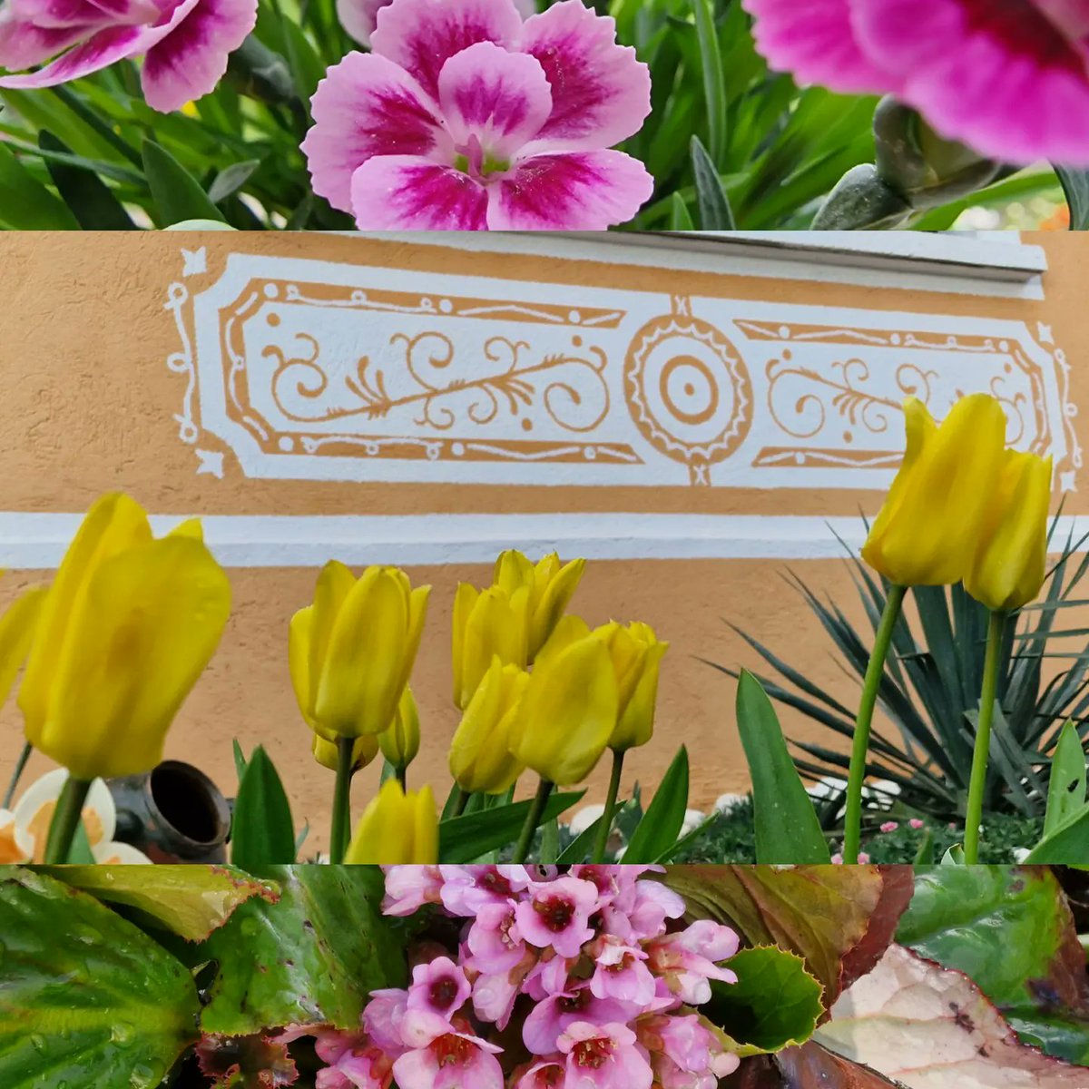 Lx_de_Luxe's tweet photo. 🐰 Воскресение Христово 2023 🐰
#воскресениехристово #христосвоскресе #april #homesweethome #orthodox #easter #eggs #sofia #sofiacity #bulgaria #beautifulbulgaria #tulips #green #flowers #fresh #bloom https://t.co/cROKqvRf39