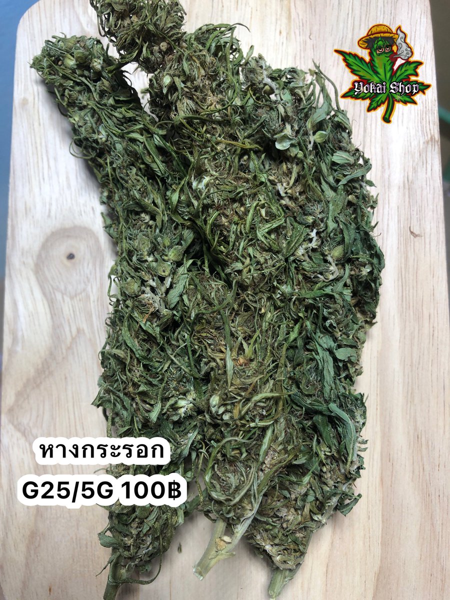 YokaiShop_'s tweet photo. หางกระรอกมียกขีด ขีดละ 700💜🙏🏼
#cannabis #KDKT #Lean #og #OG #กบินทร์บุรี #กัญชา #กัญชาog #กัญชาราคาถูก #กัญชาราคาส่ง #กัญชาออแกนิค #กัญชาเสรี #ปราจีน #ปราจีน304 #ปราจีนบุรี #ปราจีนบุรี304 #หางกระรอก #หางเสือ #ลีน #ลีนThc #ลีนนอก #ลีนแท้ #ลีนไทย https://t.co/GuXFsb1nAe