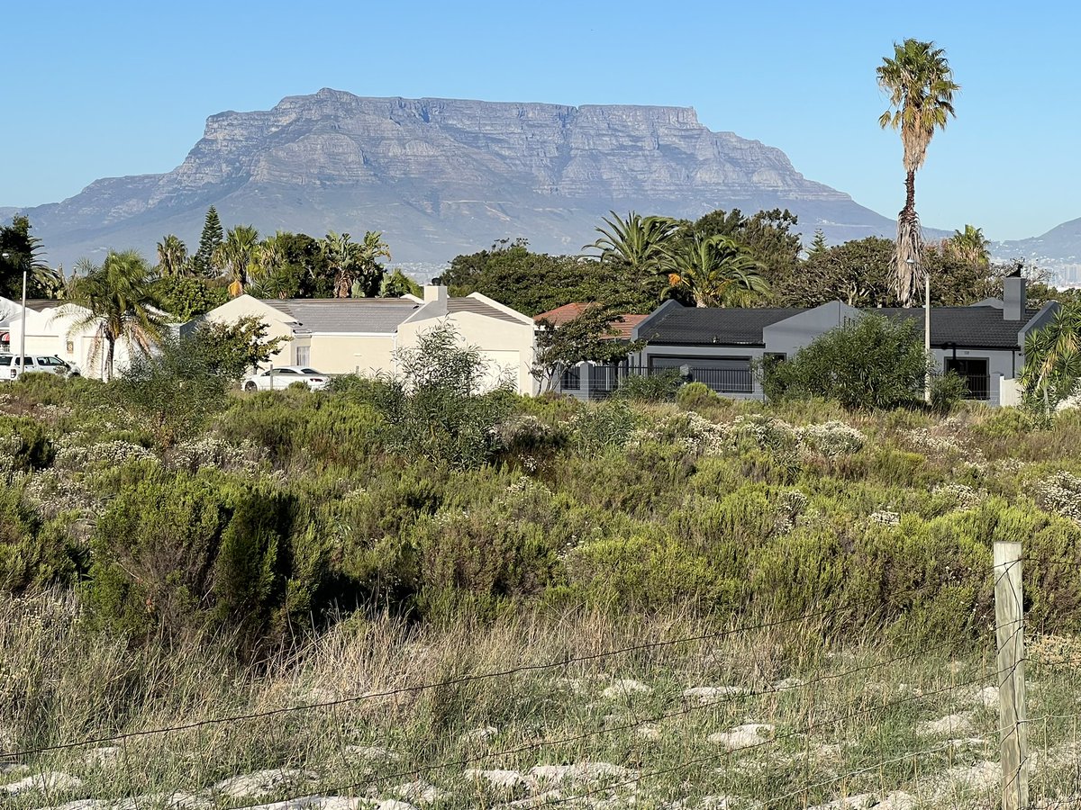 malcolmpedro's tweet image. Sunday morning walk..,
#KeepOnWalking
🌈😎🤙