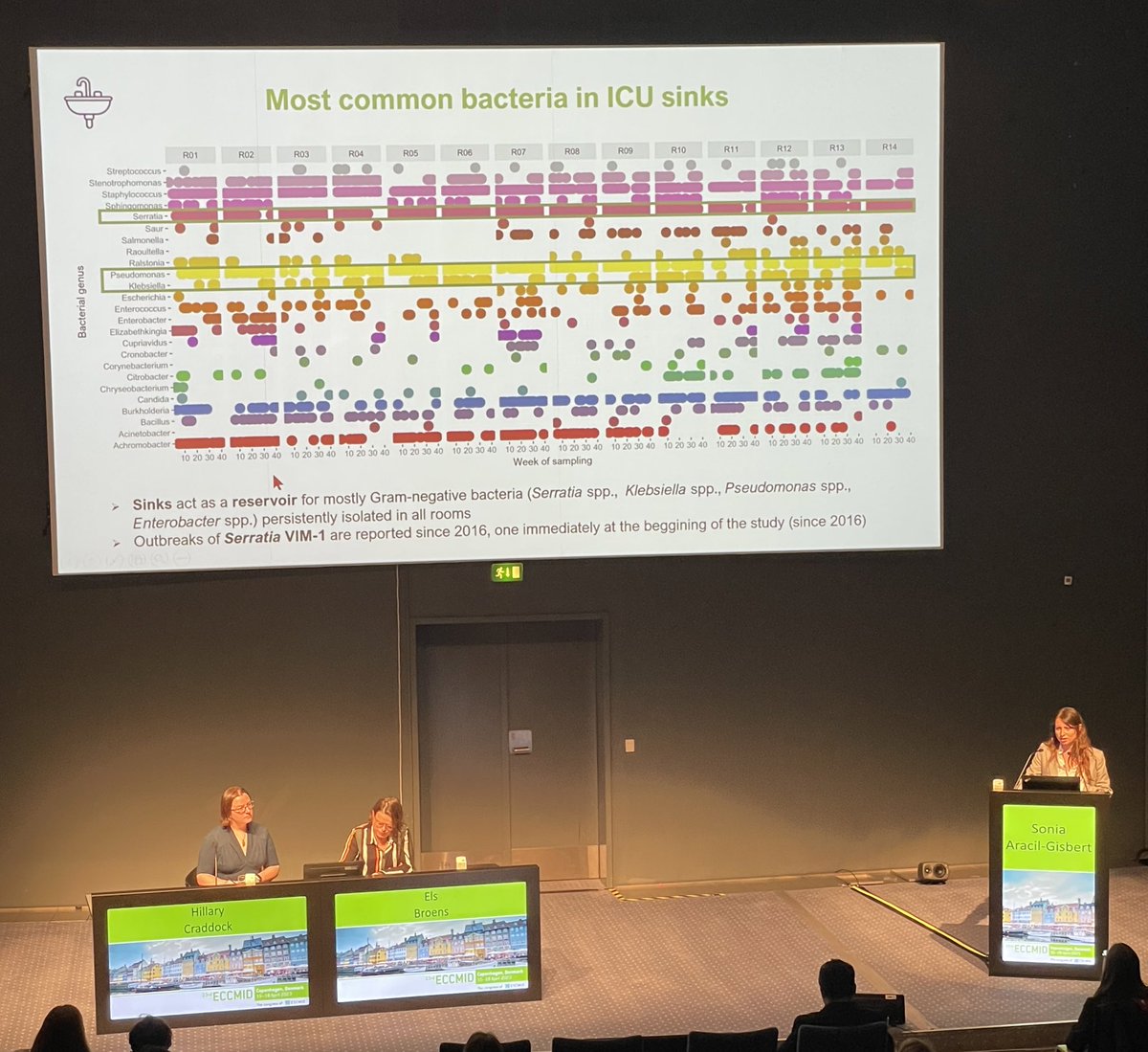 It’s all about sinks and #plasmid spread disseminating #AMR genes in the hospital context at HRyC - great talk by <a href="/AracilGisbert/">Sonia Aracil-Gisbert</a> at #ECCMID2023