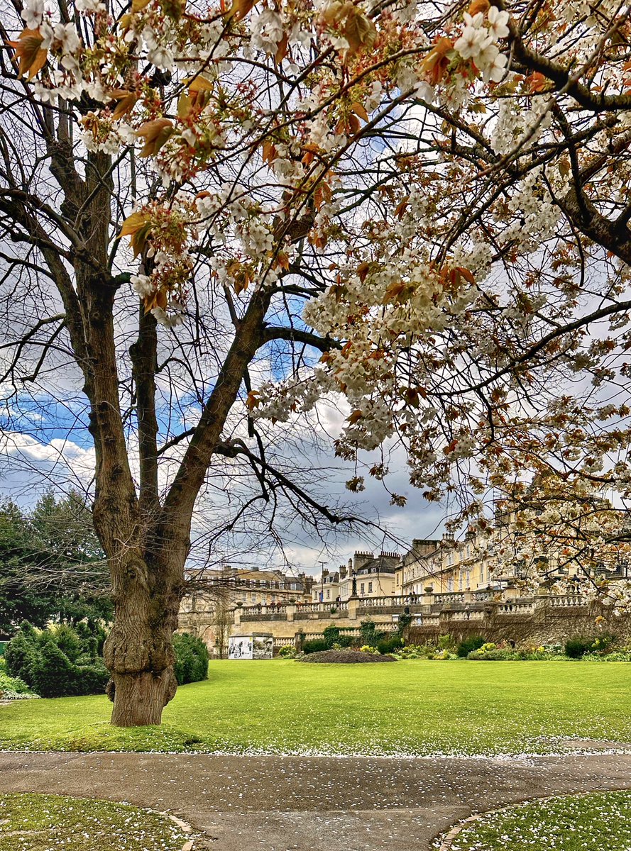 gemmak500's tweet photo. Bath in blossom.
#bath #architecture #georgian #georgianarchitecture #somerset #riveravon #avon #river #wier #bathsomerset #greatbritain #blossom #spring #springvibes #springblossoms #lovegreatbritain #igersbath #cityofbath #bathuk #visitbath #paradegardens #park https://t.co/6dnDzCmMfz