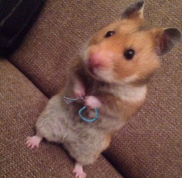 نگـــــــــآر tweet media