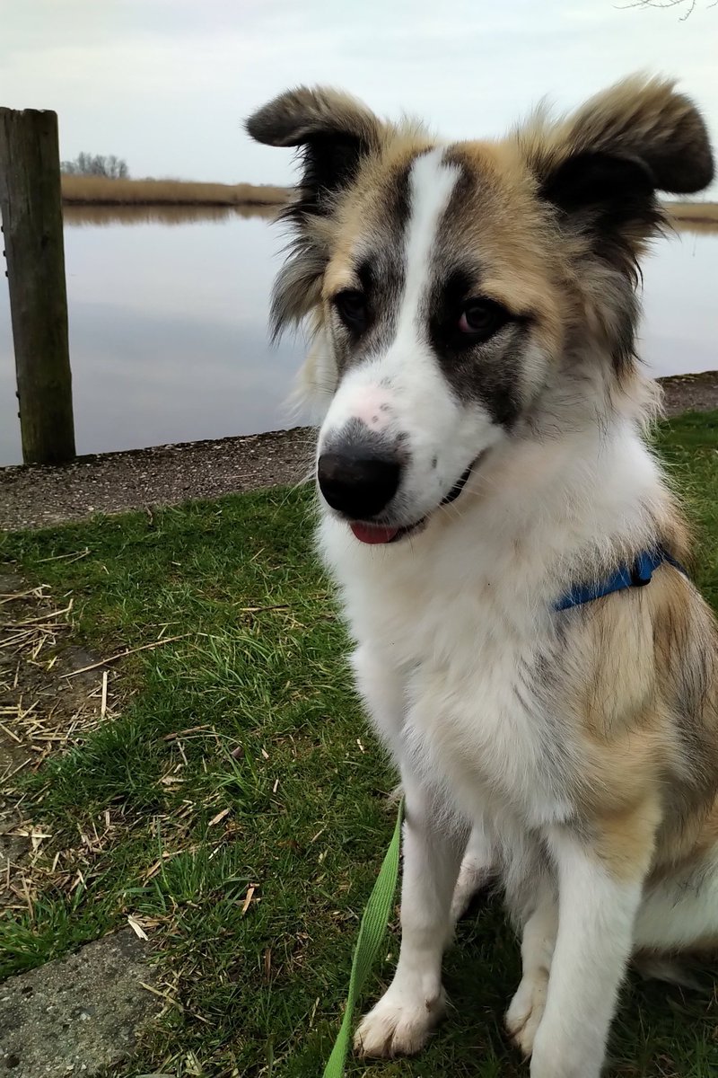 Moin #twitterrudel

Die Mama dachte, sie kann in Ruhe malen und ich kann in Ruhe rumschnuppern...

Aber nur rumschnuppern ist ja laaaaangweilig ... Ich glaube, buddeln ist mein neues Hobby 🐕 😁