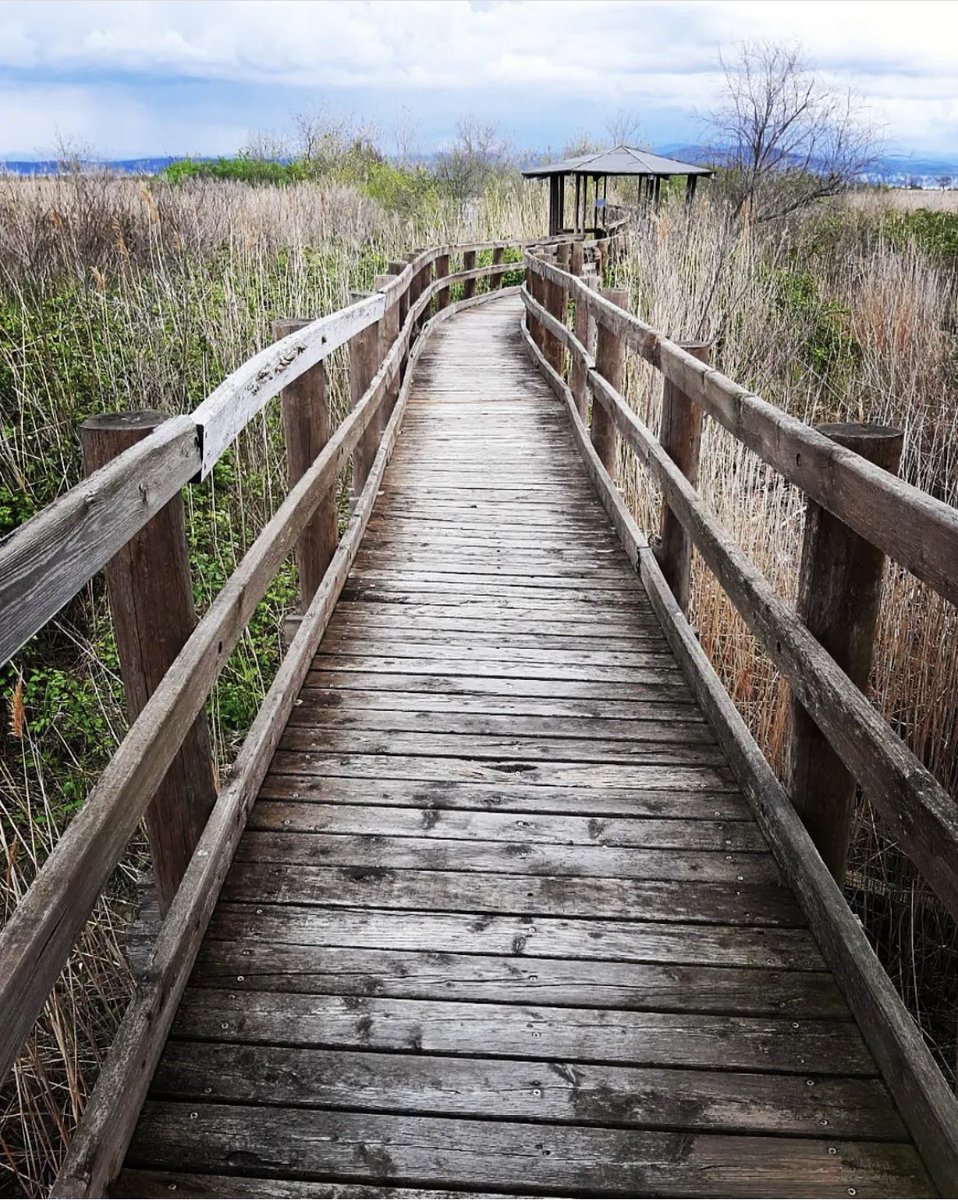 Grazie per le bellissime foto che ci fanno viaggiare per la nostra regione attraverso i vostri occhi! ♥️ 
Continuate a taggare le vostre foto scattate in Friuli Venezia Giulia con #somewherefvg 🙌🏻

📷 @gottardo_elisabetta_ud (IG)

#fvglive