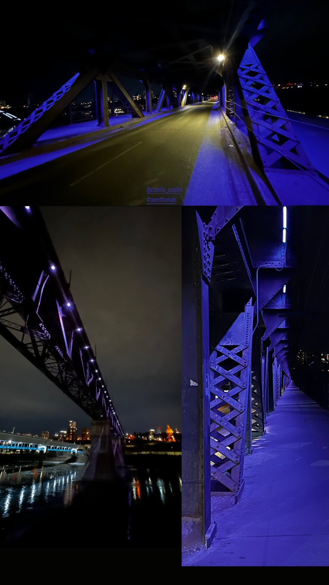thefirstjoel's tweet photo. Thank you @CityofEdmonton for helping us celebrate the last day of National Medical #labweek! 💜🥼

#seetheunseen #seethelab #nmlw23
#lightthebridge #indigolabcoat #yeg #medlab https://t.co/7YZ6u6kNC7