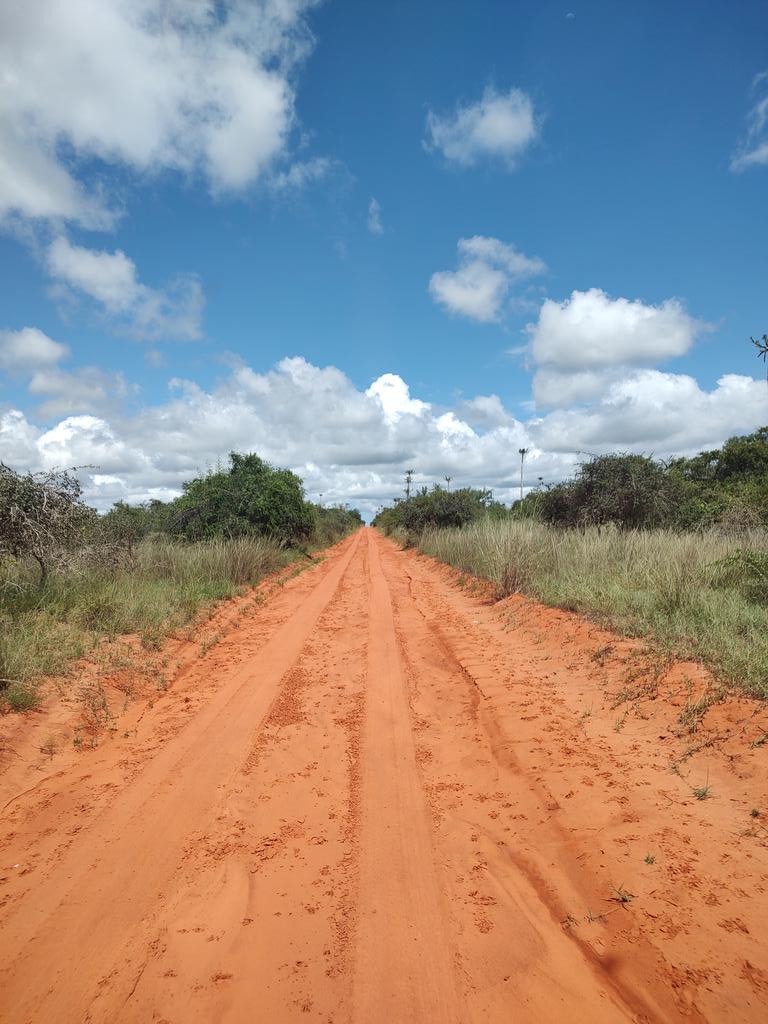 A beautiful last fieldwork day in Angola 🇦🇴