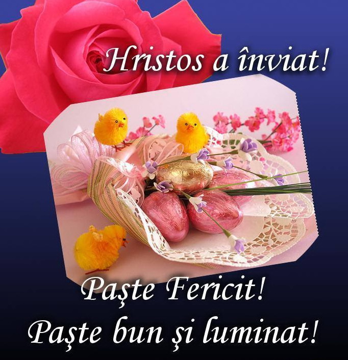 moldovabaseballsoftball (@moldovabasebal1) on Twitter photo 