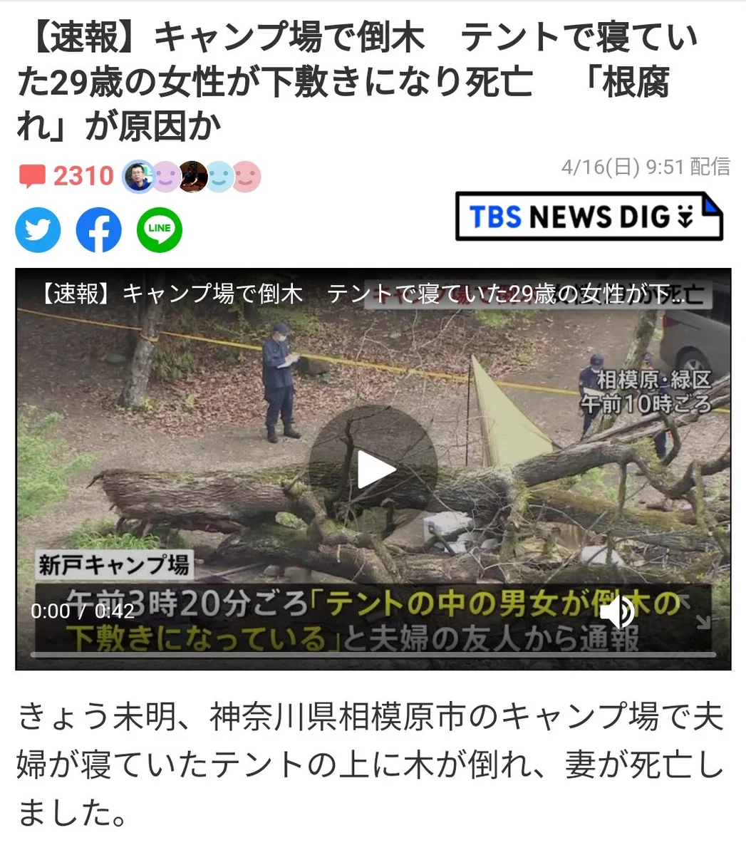 勉強になる！森に行くと見かけるピンクの紐の意味は？