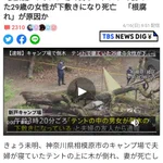 勉強になる!森に行くと見かけるピンクの紐の意味は？