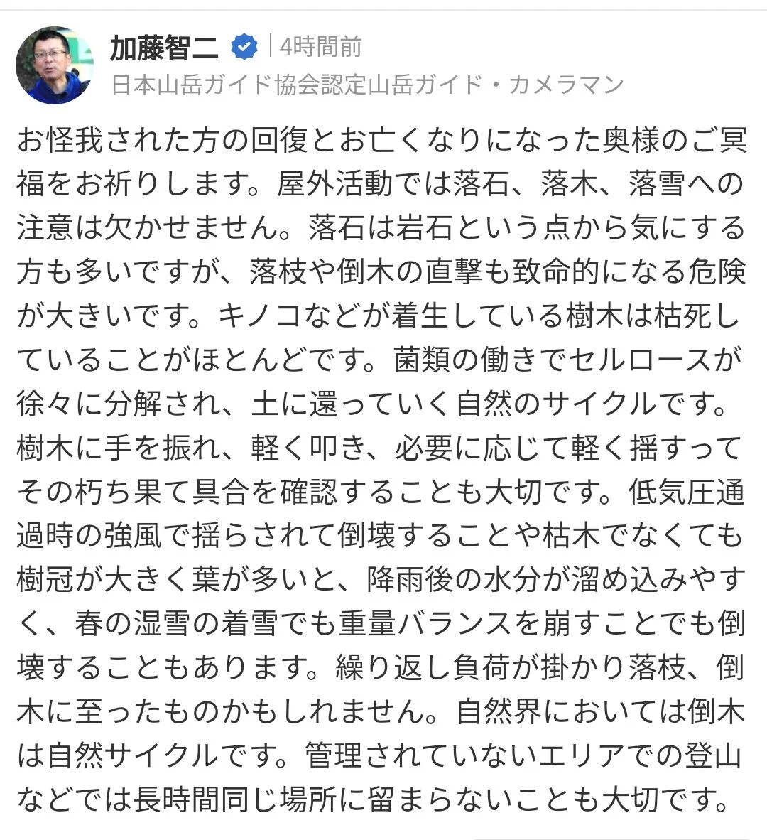 勉強になる！森に行くと見かけるピンクの紐の意味は？