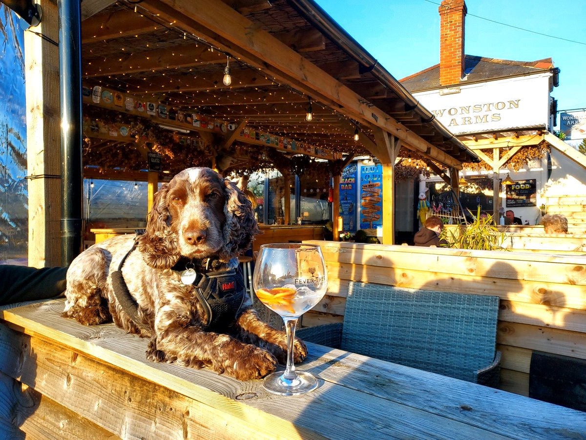 thewonstonarms's tweet image. North Hampshire CAMRA Pub of the Year Presentation day - done ! Lovely to see folk come &amp;amp; share the Award Day with us , it means an awful lot x @CAMRA_Official #camra #summerofpub #communitypub #bringingapubbacktolife #loveyourpub
