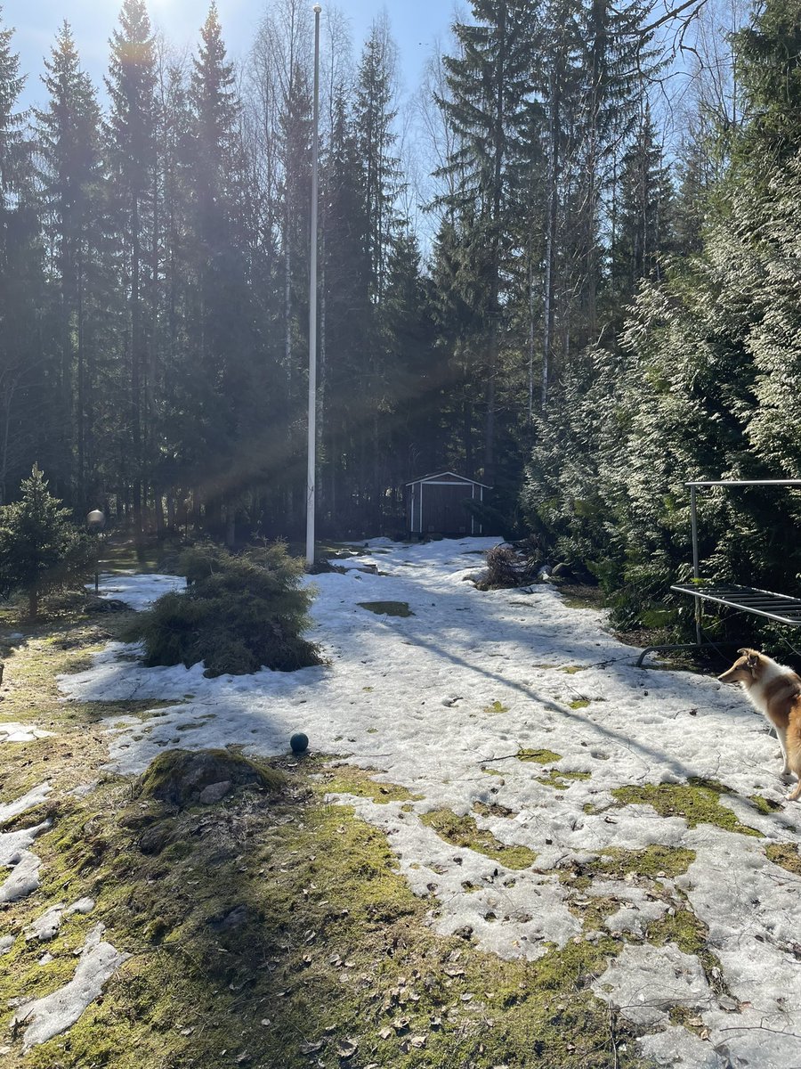 Kevät on alaston, mutta onneksi luonto herää eloon, pois siirtyvän lumen alta. Niin ja mieli kevenee. #kevät