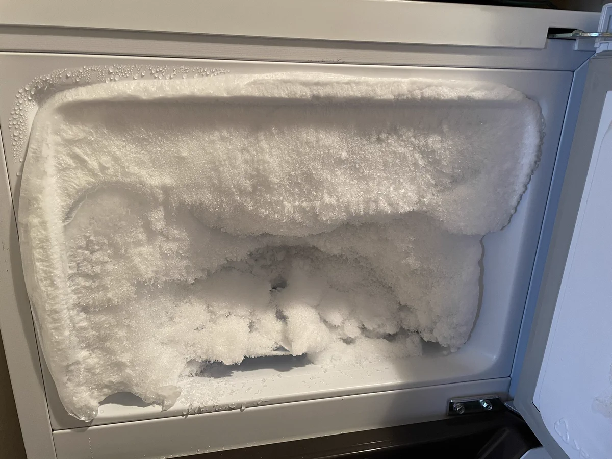 なんかもう凄い事になっていた。数か月ぶりに開けた自宅の冷凍庫。