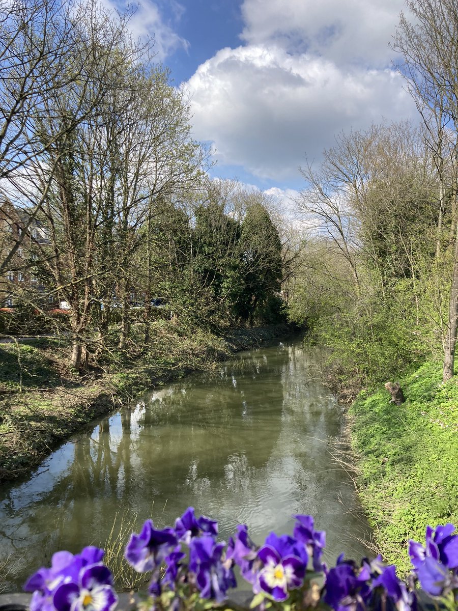 It’s good to see the River Ouzel looking clear from rubbish for a change! Photo taken yesterday. Have a fun Sunday! #rivers #RiverOuzel #water #environment #nature #naturephography