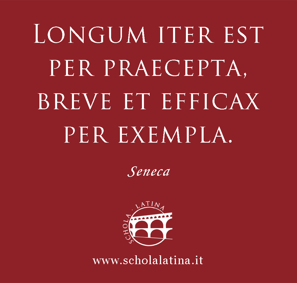 Schola Latina tweet media