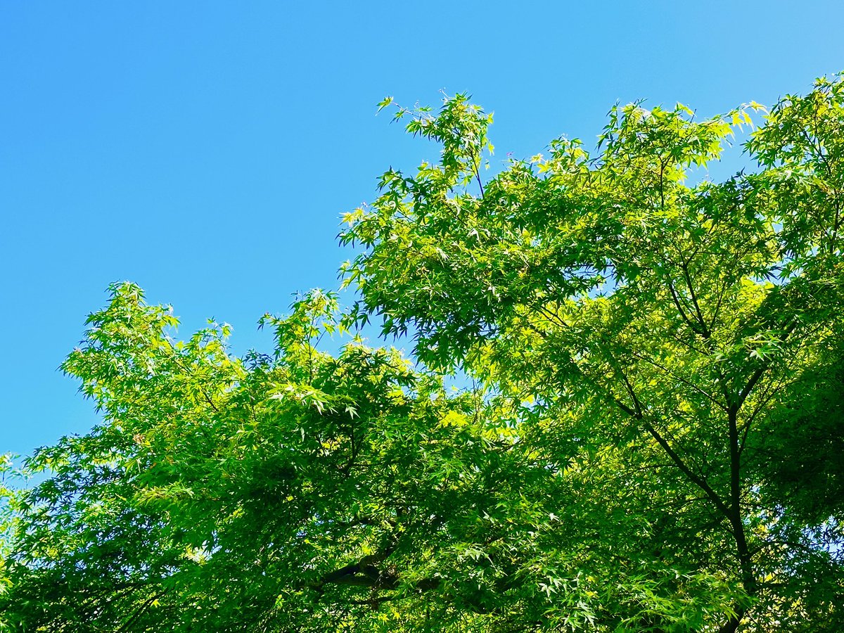 凄く良い天気だったのでずっとテラスで譜面書きと作詞してた

暖かくなってきたね