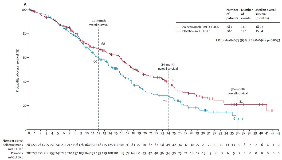 🔥Zolbetuximab + mFOLFOX6 in CLDN18.2+, HER2- gastric or gastro-oesophageal junction adenocarcinoma 
<a href="/TheLancet/">The Lancet</a> 
doi.org/10.1016/S0140-…
🔎SPOTLIGHT phs-III
💪mPFS: 10.6 vs 8.7, mOS: 18.2 vs 15.5 mo, no increase in ORR
🤔13% CPS>5 -> role of ICI?
✅new🎯in GC! More 💊to come...