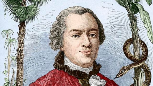 𝗜𝗟 𝗬 𝗔 𝟮𝟯𝟱 𝗔𝗡𝗦 | Le #16Avril 1788 : mort du #naturaliste et #philosophe #Buffon. Il conserva toujours une ardeur infatigable pour le travail, consacrant à ses études quatorze heures par jour ➽ bit.ly/2v7DqOU via <a href="/FrPittoresque/">La France pittoresque</a>