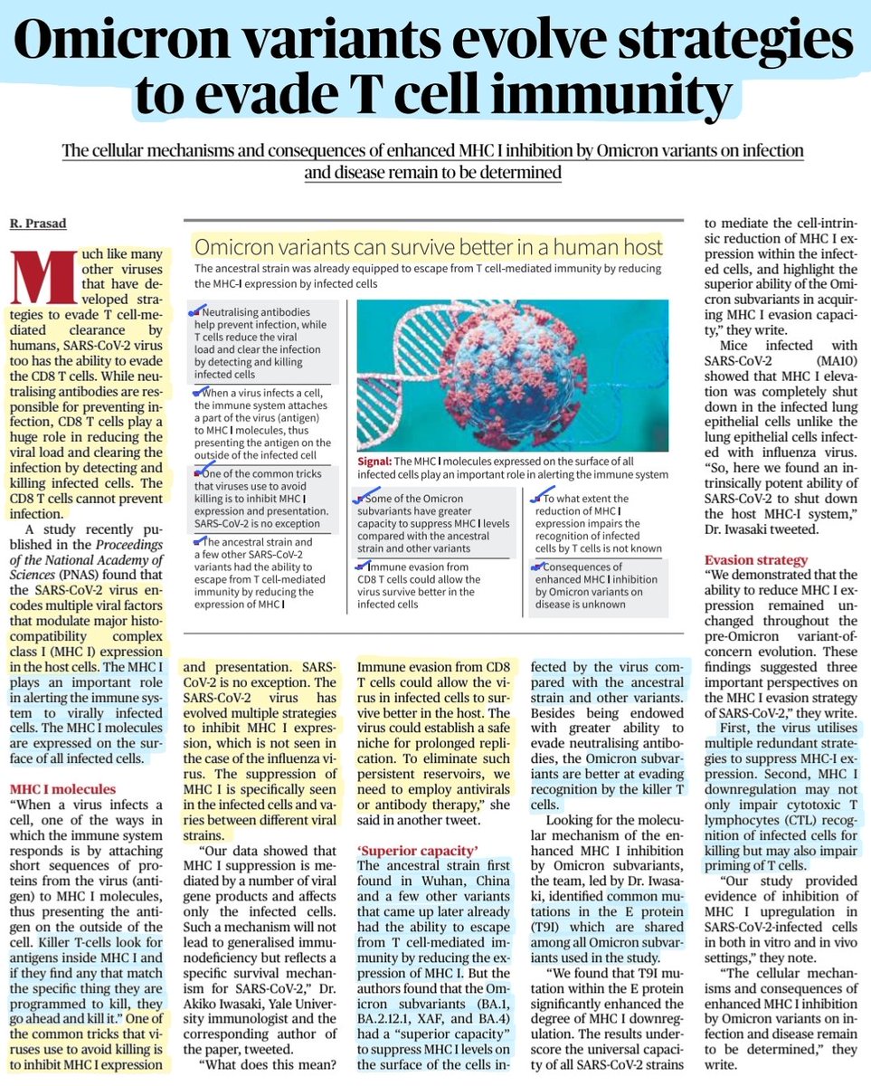 imRavikantYadav's tweet photo. 'Omicron Variants evolve strategies to evade T cell immunity'
: Well explained
#CovidIsNotOver #pandemic #Covidvaccination #COVID19 #Omicron #virus #evasion #SARSCoV2 #MHC1 #CD8 #tcell #immunity
#disease #Science #research
#Health #healthcare
#UPSC #UPSC2023
Source: TH https://t.co/vXyWQB4eNF