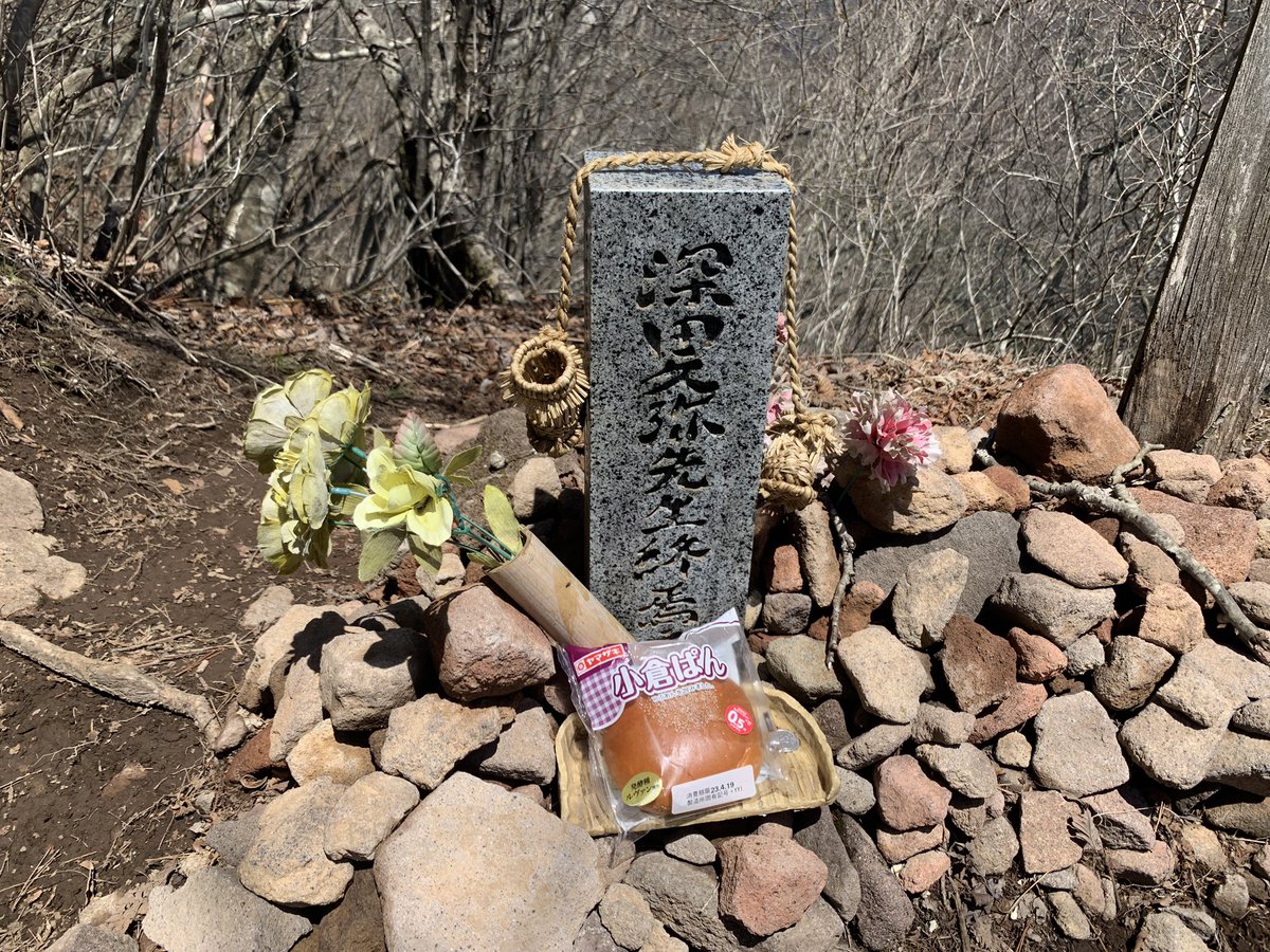 タクロス🍇ブロガーLv.6 tweet media