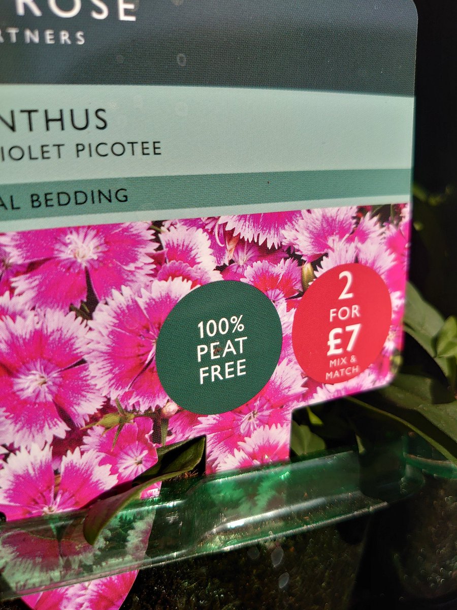 PeatFreeApril's tweet photo. We are so happy to see @waitrose selling #PlugPlants raised in #PeatFree compost! #ThankYou
Peat-free growers & retailers protect peatlands: rare wetlands that store vast amounts of carbon. Peatlands are home to rare #plants & #wildlife that only survive in these areas. #Garden https://t.co/x2T8TrCadd