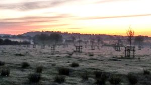 Sunday 7 May 2023 05.00 Hartpury Orchard Centre.

An early start for those wanting to catch the dawn chorus. This is a joint event with the Orchard Centre and Gloucestershire Naturalist Society.

At 05.15 #biodiversity #DawnChorus #events #Hartpury

glosorchards.org/home/blog/2023…