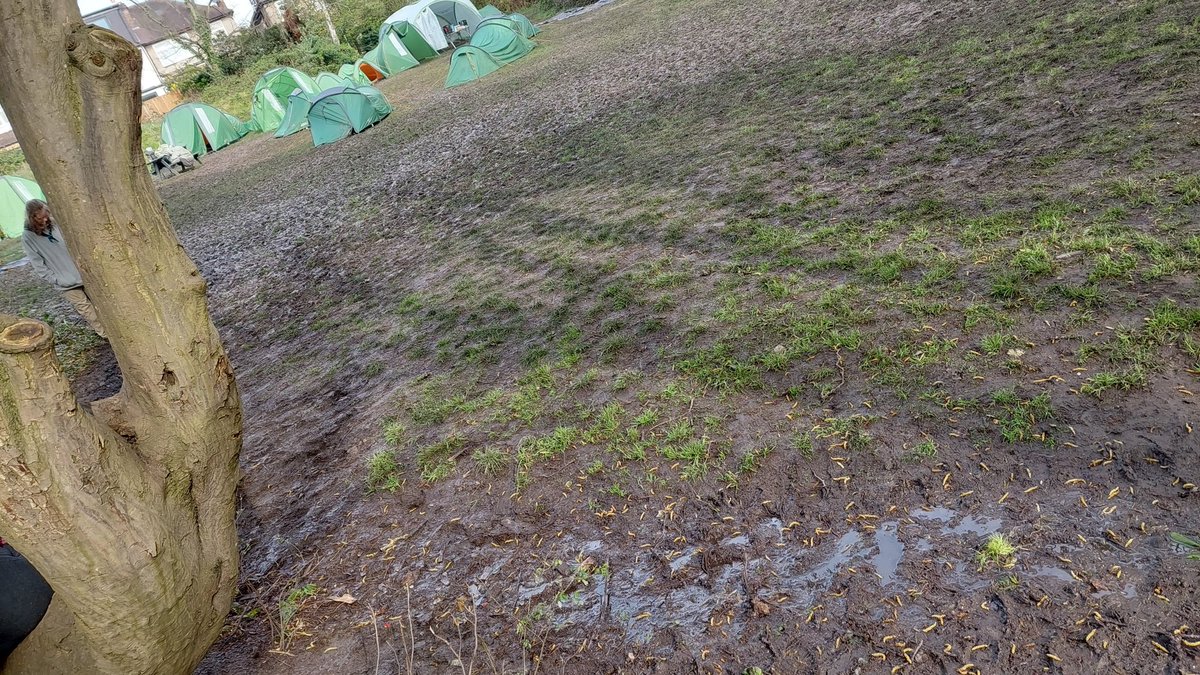 dim ddraig esu tweet media