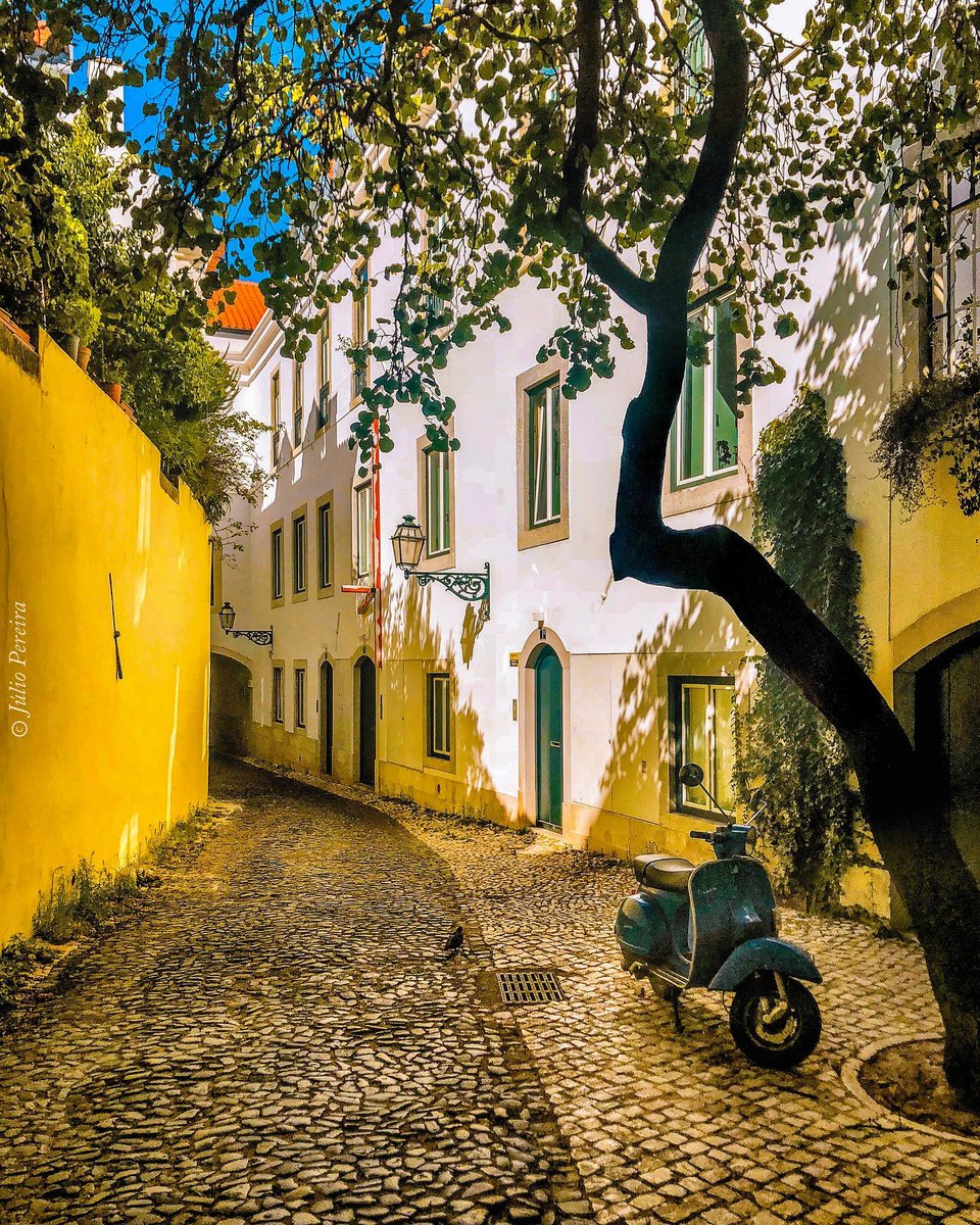 Lisboa, ao Castelo

📷Júlio Pereira