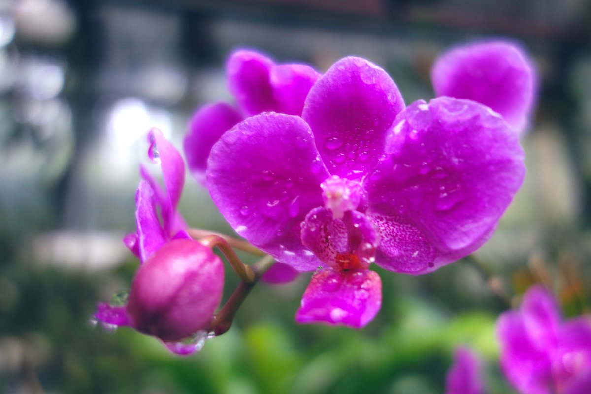 LorenisVes's tweet photo. Sony 黑卡1 https://t.co/i84OWvnDuw