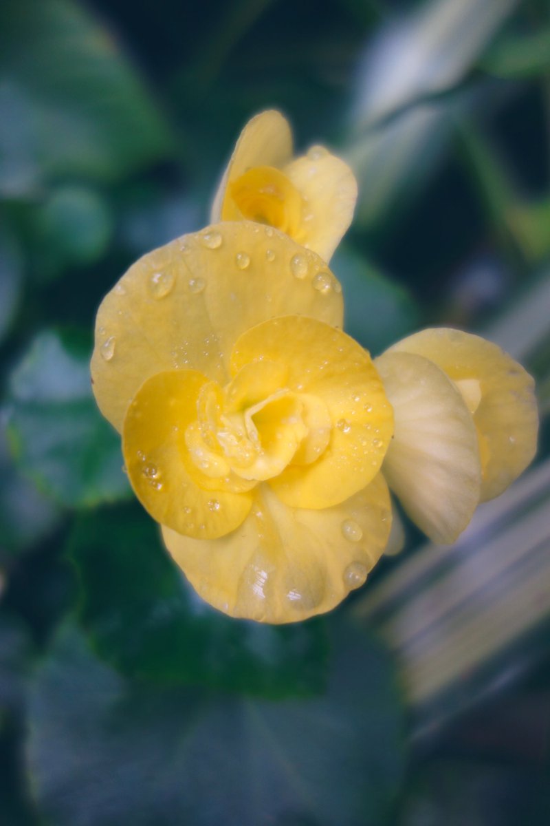 LorenisVes's tweet photo. Sony 黑卡1 https://t.co/i84OWvnDuw
