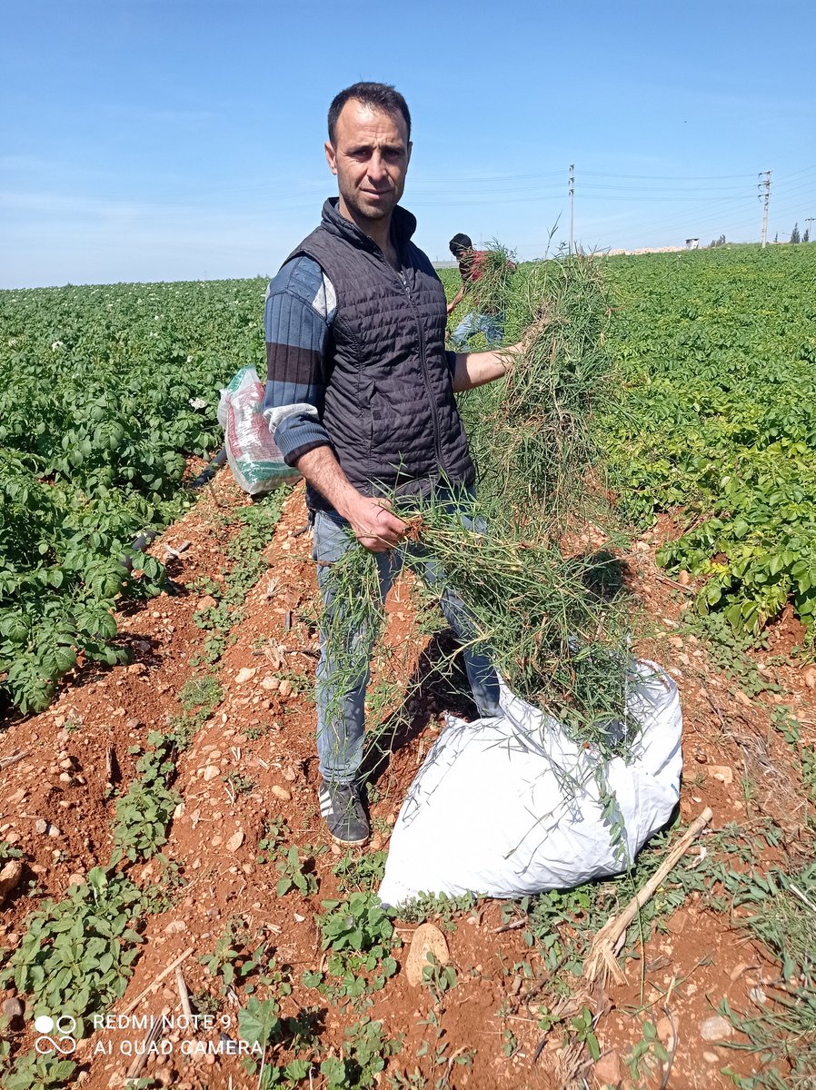 İşinizin başında olduğumuz doğrudur çilkeleş izlemiştir ayrigi