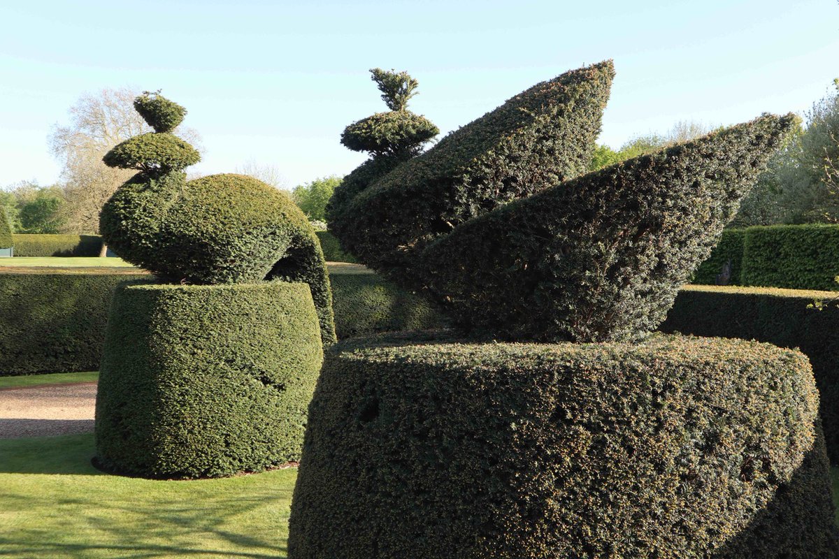 Why not come along and do a bit of bird-spotting in the Levens Hall Gardens today? #topiary #topiaryart #Cumbria #LakeDistrict