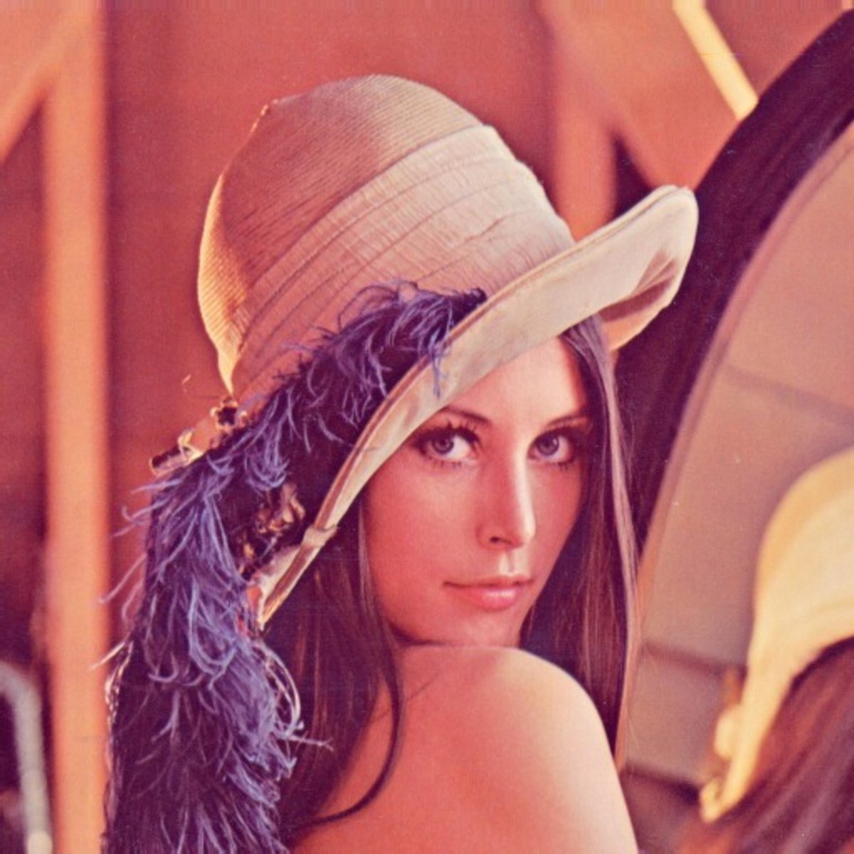 Siddh_nt's tweet image. Did you know that the Lena or Lenna image, a standard test image used in digital image processing, is actually a cropped version of a Playboy magazine photo from 1972? #LenaImage #DigitalImageProcessing
